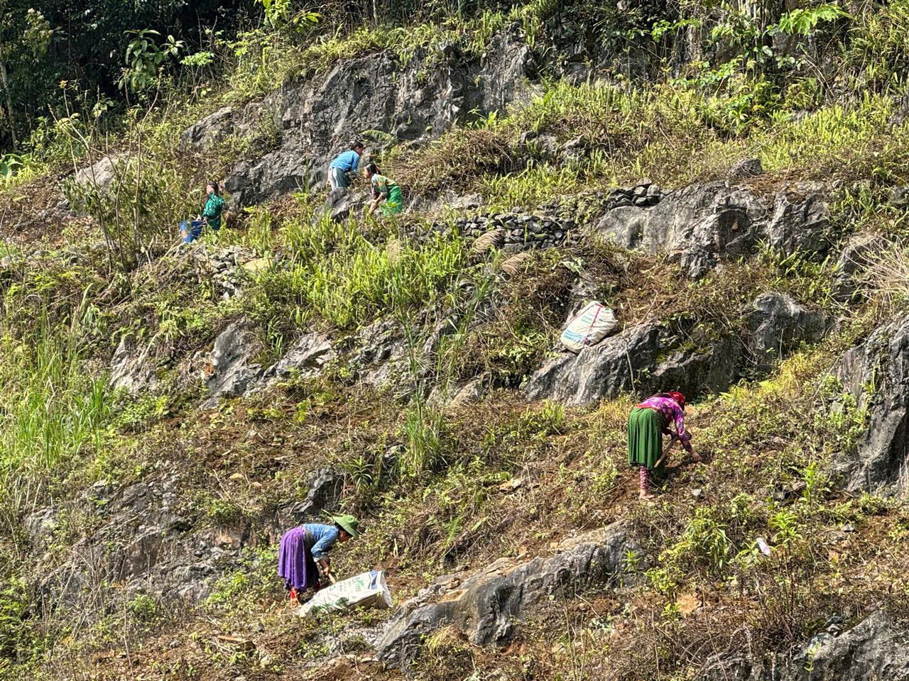 The Ultimate Conquest: Master the Mountains on a Ha Giang Loop Cycling Tour